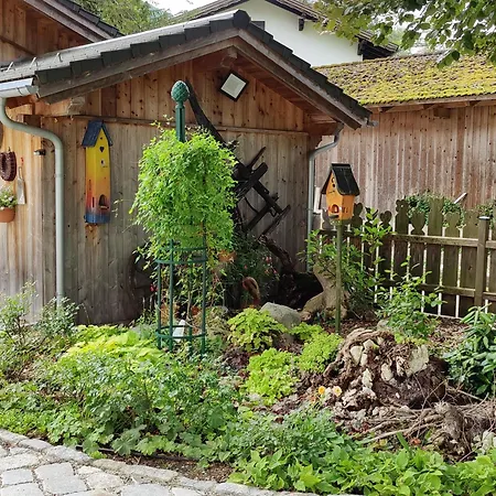 Wohnen Am See Villa Schroetter Direkt Am Traunsee Rindbach Exteriér fotografie
