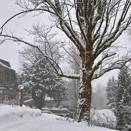 Wohnen Am See Villa Schroetter Direkt Am Traunsee Rindbach Exteriér fotografie