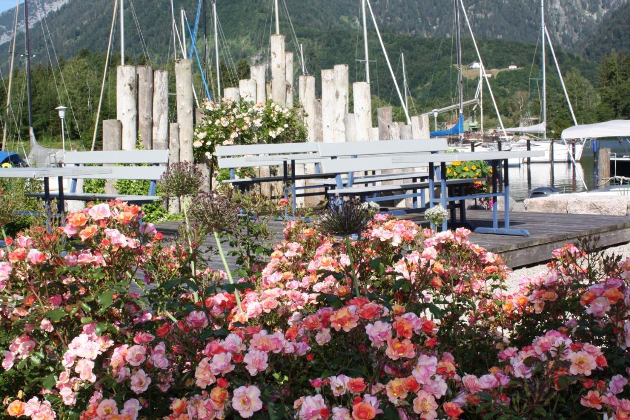 Apartment Wohnen Am Schroetter Direkt Am Traunsee