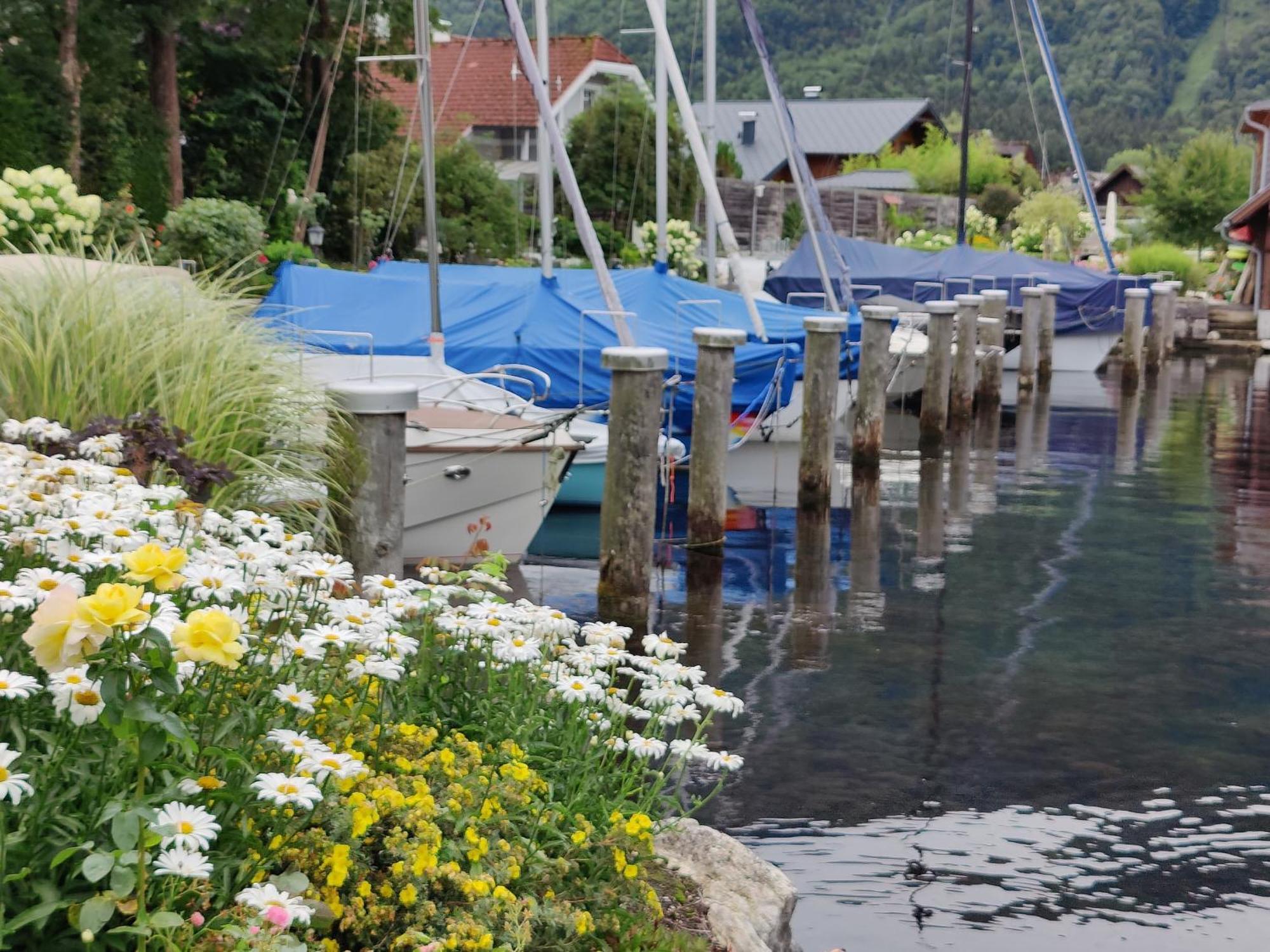 Wohnen Am Schroetter Direkt Am Traunsee Rindbach