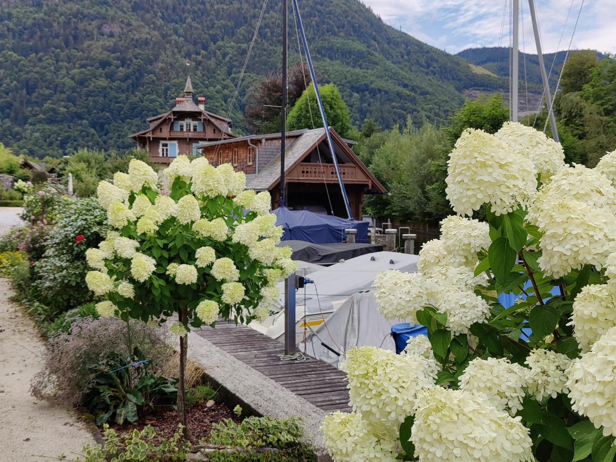 Wohnen Am Schroetter Direkt Am Traunsee