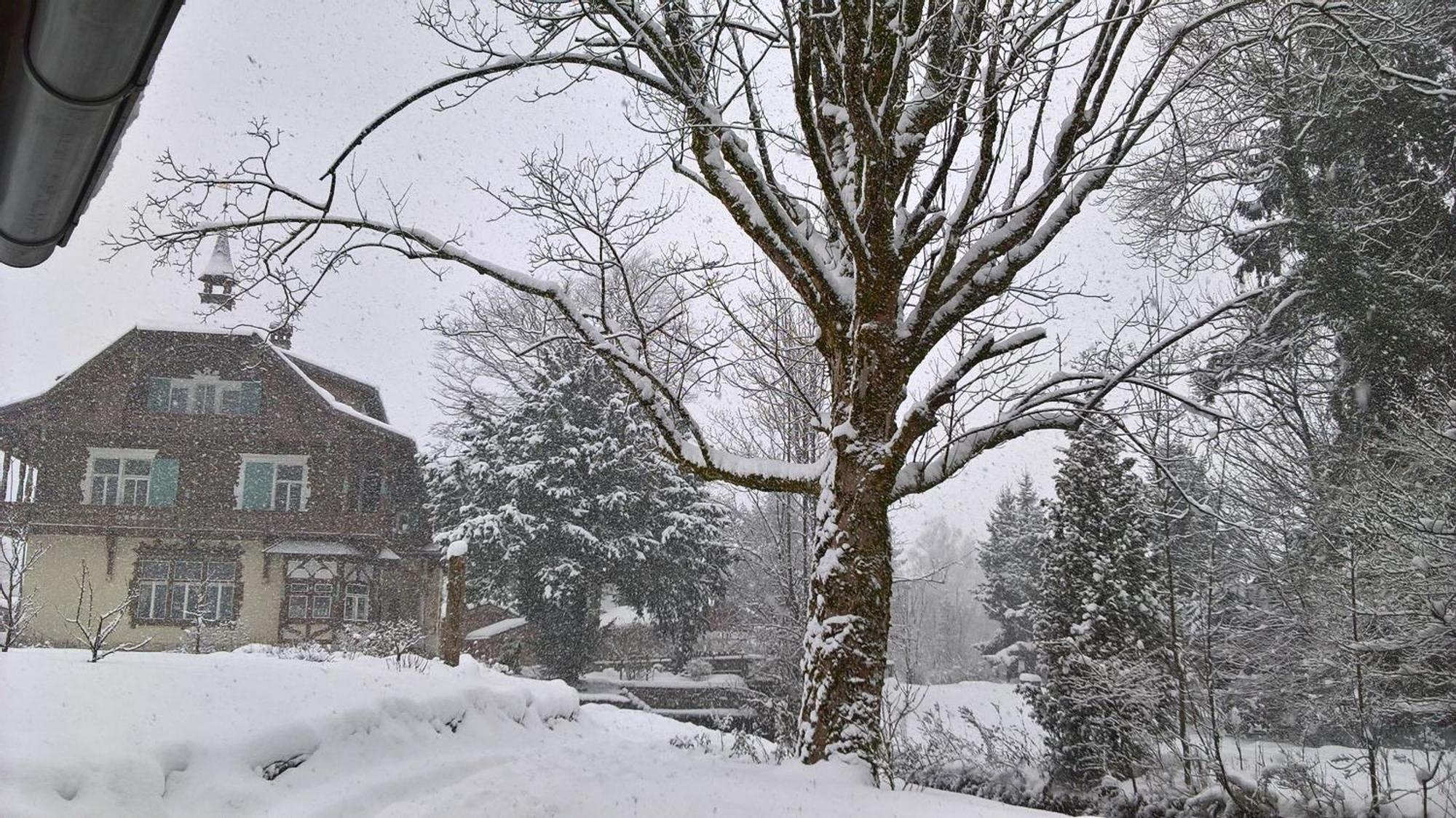 Wohnen Am Schroetter Direkt Am Traunsee Rindbach