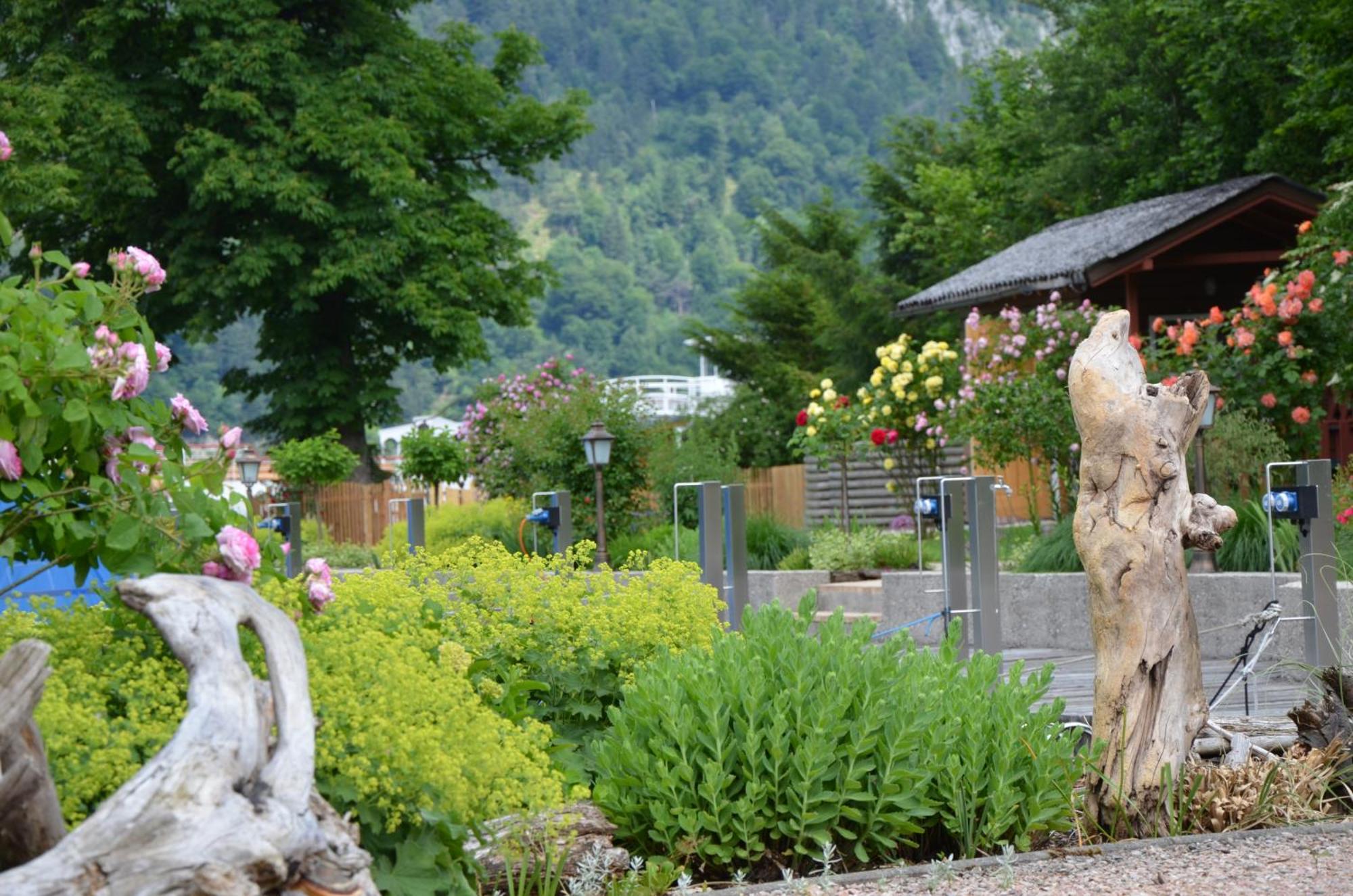 Wohnen Am Schroetter Direkt Am Traunsee Apartment *