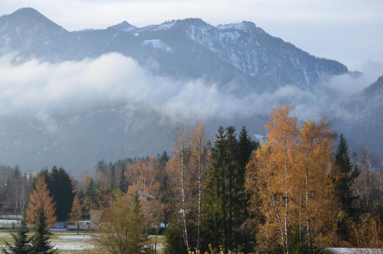 Wohnen Am Schroetter Direkt Am Traunsee Apartment *